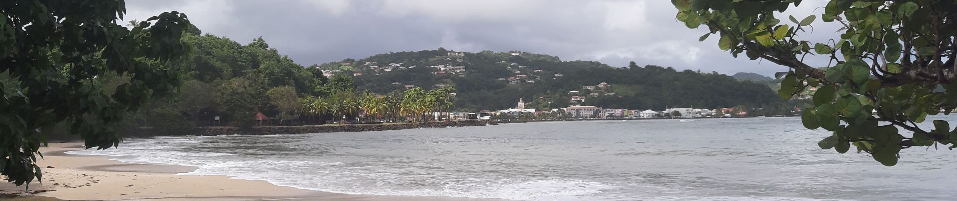 Trail Walking Le Robert - Pointe Savane - Plage du Raisiinier - Photo