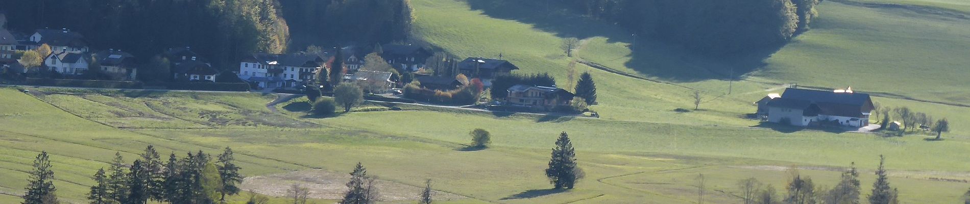Tour Zu Fuß Thalgau - Fuschl am See Wanderweg - Photo