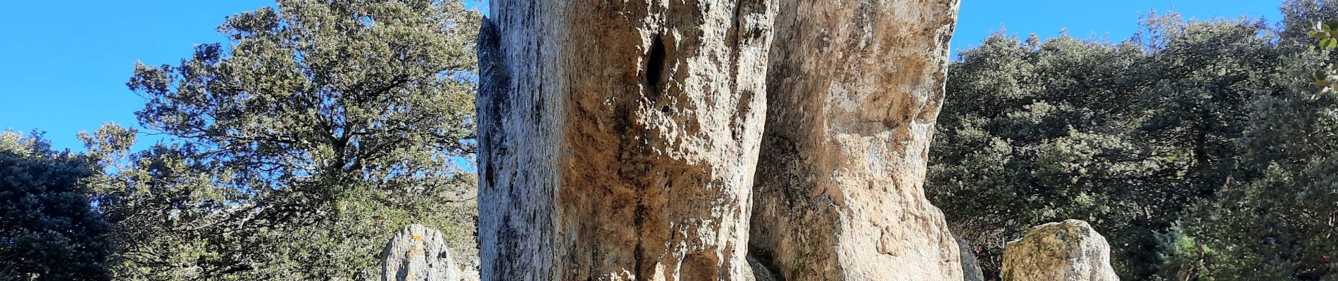 Tour Wandern Chantemerle-lès-Grignan - Chantemerle-Les Grignan Les jumelles du Rozet Clansayes 15km - Photo