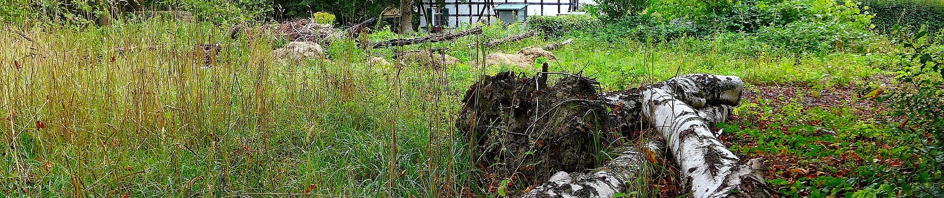 Tour Zu Fuß Unbekannt - Alfredusbad-Kupferdreh - Photo