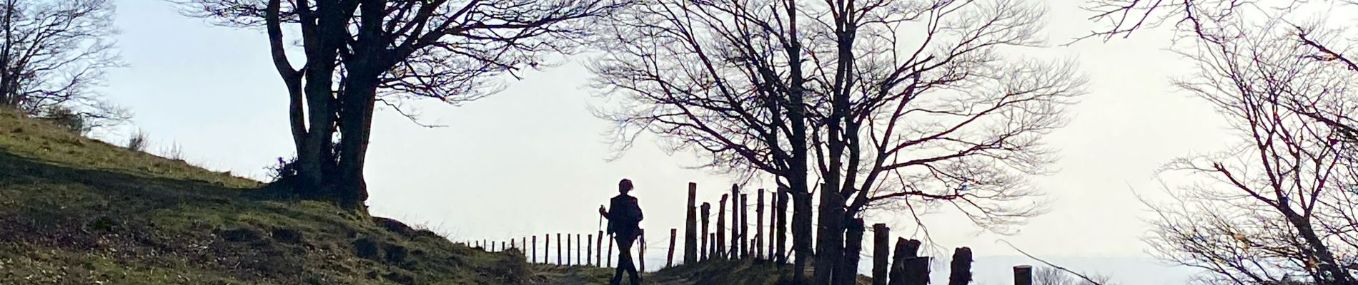 Trail Walking Saint Geniez d'Olt et d'Aubrac - Les Vergnes Mailhebiau Tourbière  - Photo