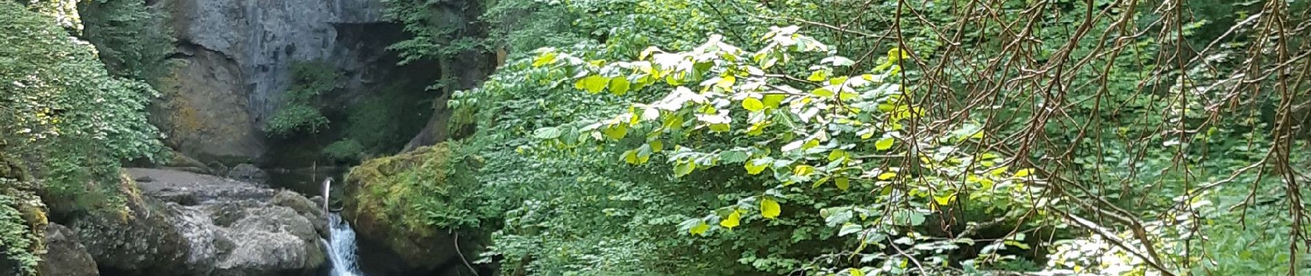 Excursión Senderismo Vic-sur-Cère - vallée de la cere  - Photo