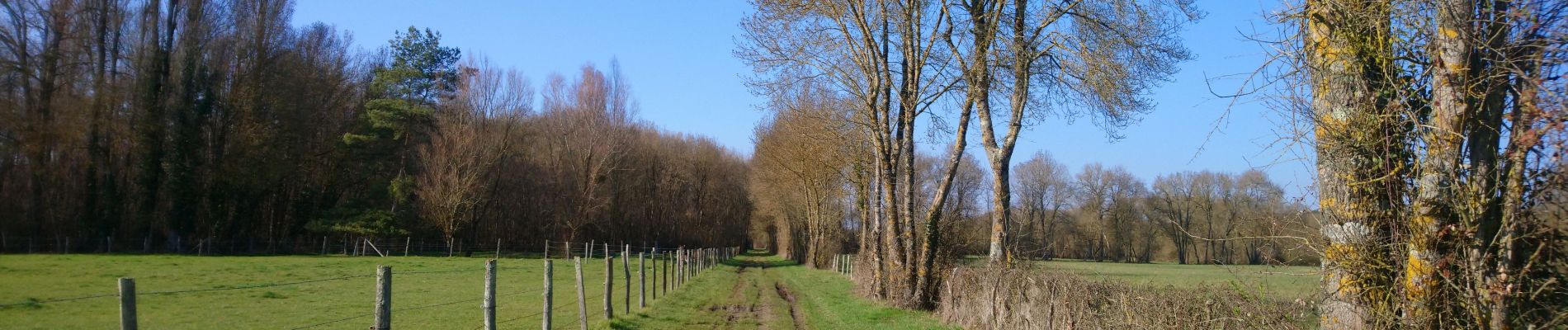 Tour Wandern Azay-sur-Indre - Azay-sur-Indre - GR46 PR Chambourg-sur-Indre - 18.2km 200m 2h55 (23mn) - 2021 03 06 - Photo