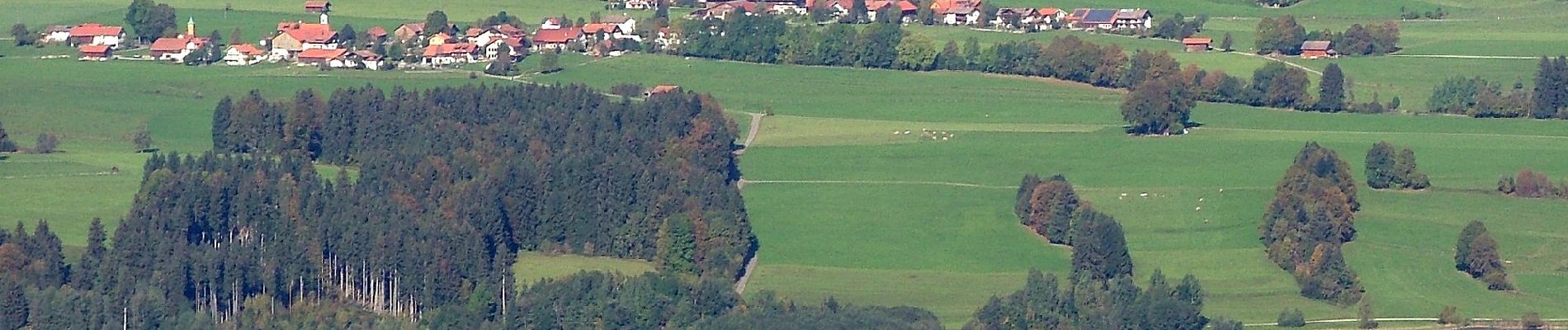 Trail On foot Oy-Mittelberg - Rundweg 3 - Photo