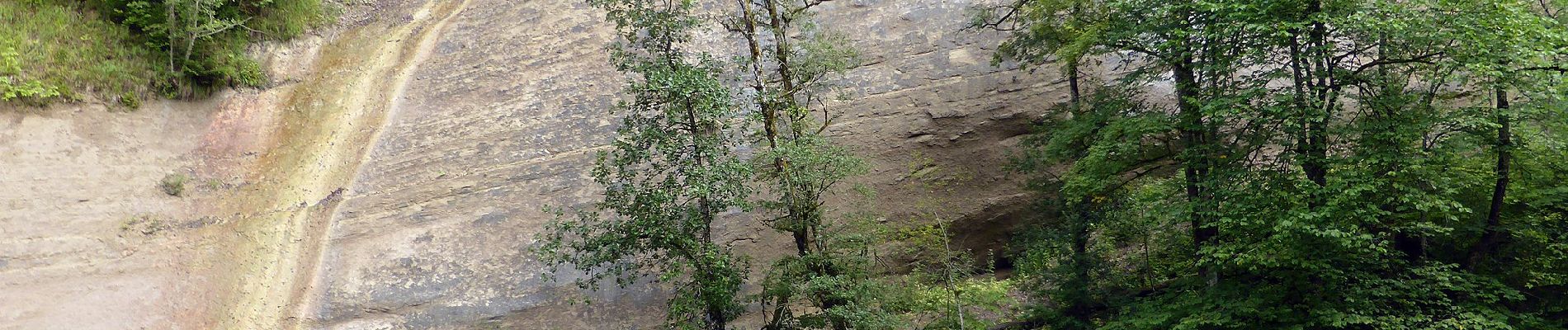 Randonnée A pied Grünenbach - Eistobel Rundweg Variante 2 - Photo