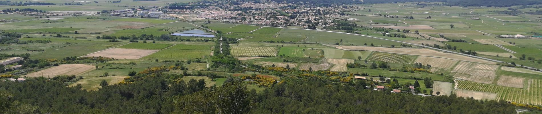 Tour Wandern Vergèze - Vergèze Oppidum de Nages le 17 mai 2020  - Photo