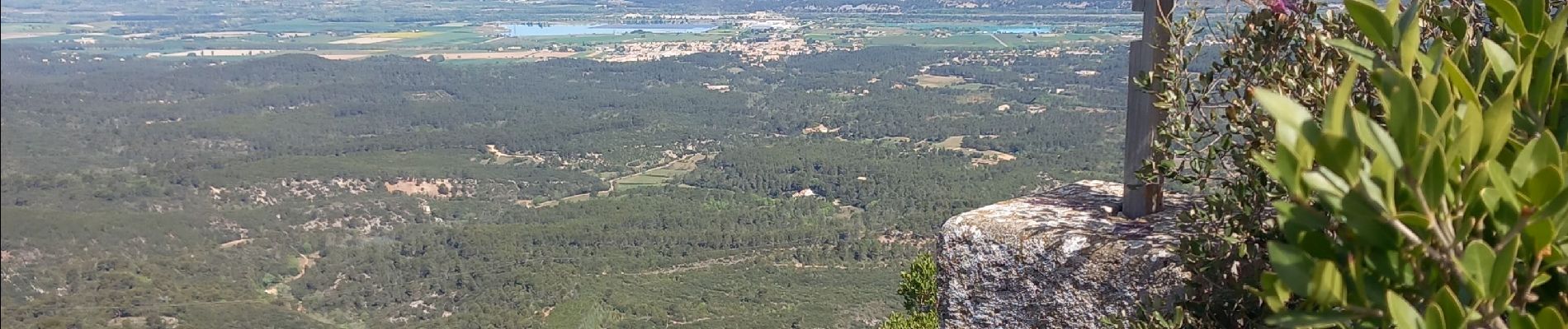 Trail Walking Peyrolles-en-Provence - la trempasse - Photo