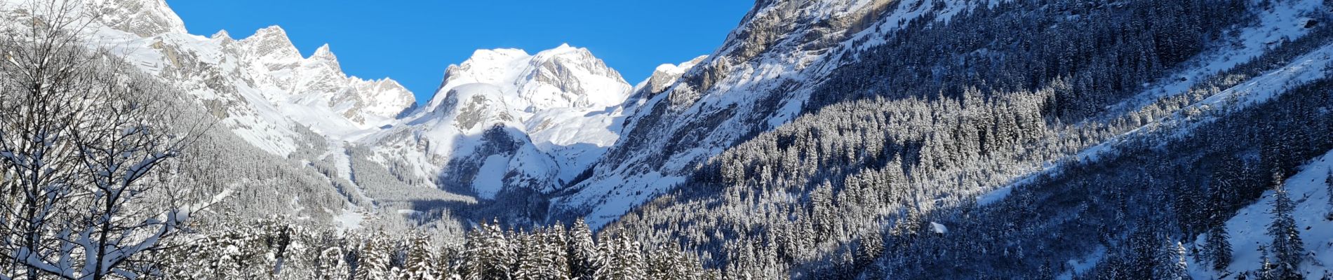 Percorso Racchette da neve Pralognan-la-Vanoise - Pralognan Cholière en boucle - Photo