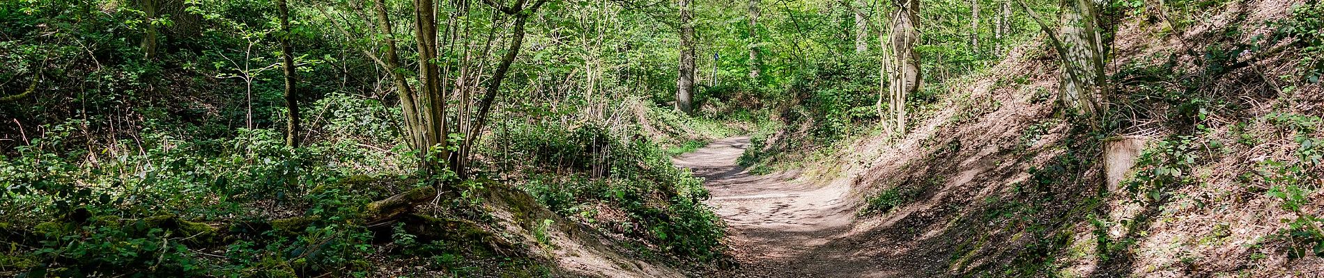 Tour Zu Fuß Unknown - Pottbäckerweg - Photo