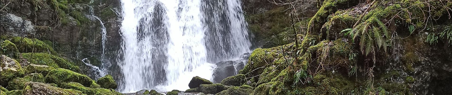 Tour Wandern Septmoncel les Molunes - 25-02-24 cascade Moulin d'Aval - Photo