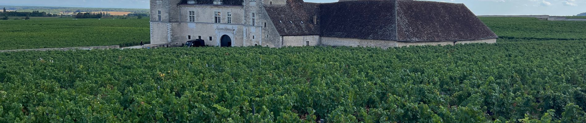 Tocht Stappen Vougeot - Autour de Clos Vougeot - Photo