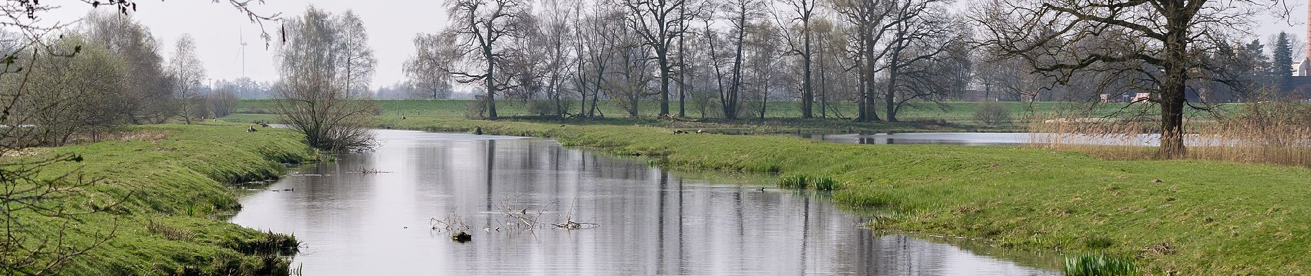 Tocht Te voet Delbrück - A3 (Steinhorster Becken) - Photo