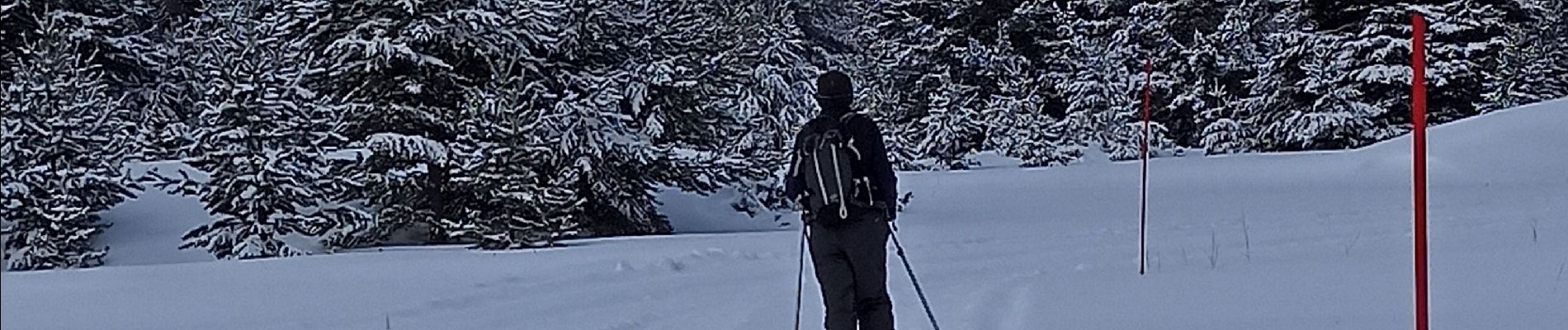 Excursión Esquí de fondo Névache - rando Ski Roubion-Plampinet - Photo