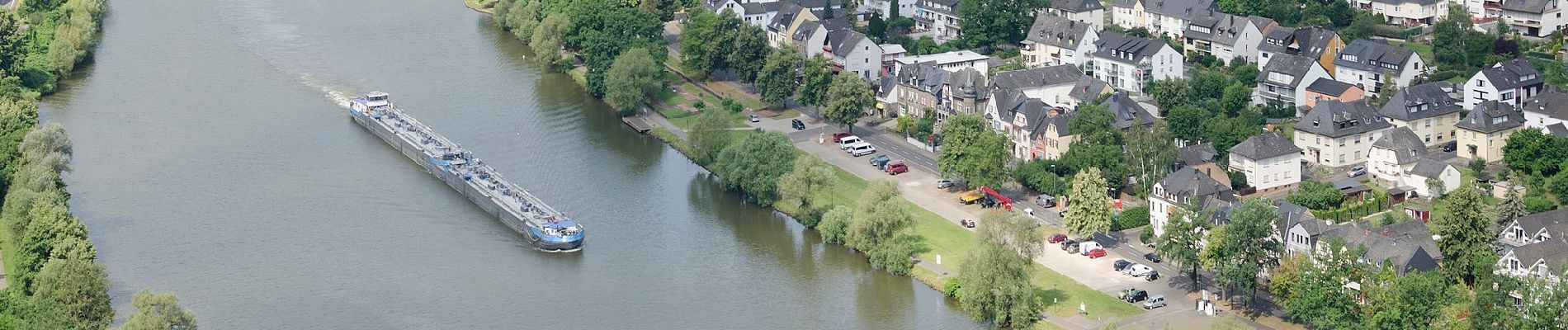 Trail On foot Bernkastel-Kues - Burg-Olymp-Tour - Photo