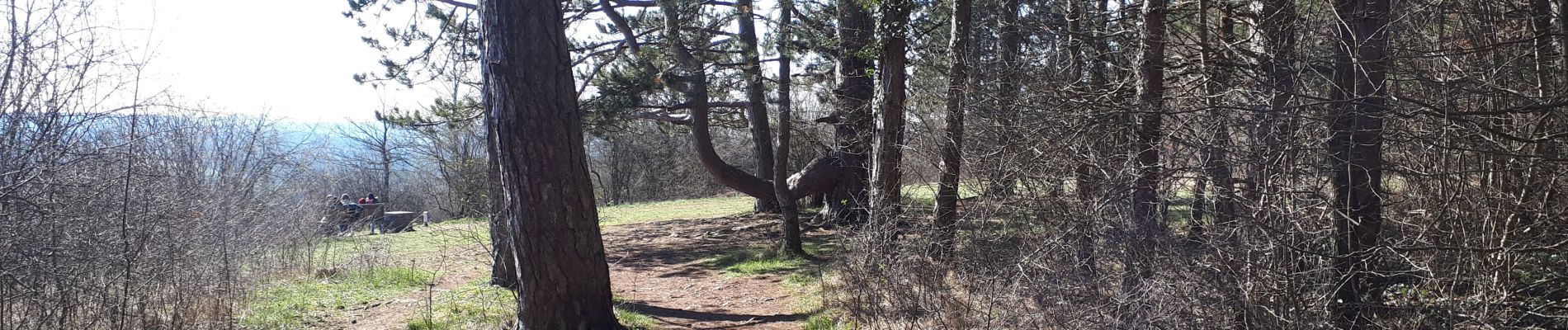 Trail Walking Rochefort - GR RBN7 Han-sur-Lesse - Photo