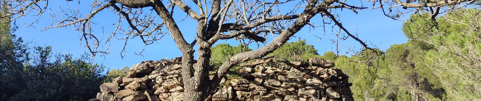 Randonnée Marche Caunes-Minervois - la carrière du Roy - Photo