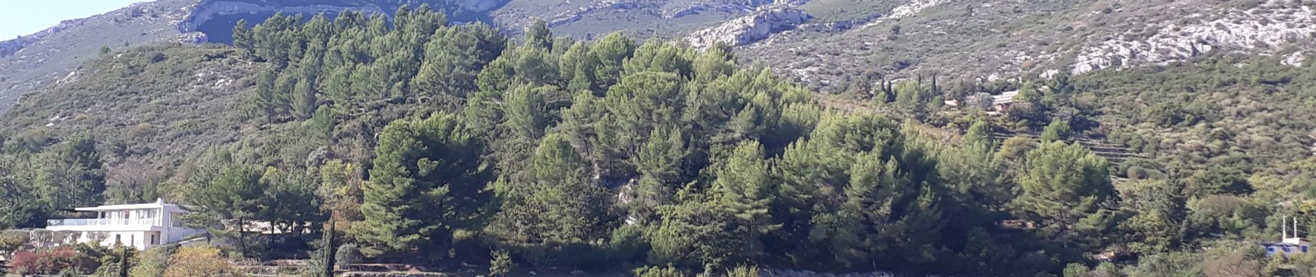 Randonnée Marche Roquevaire - Garlaban au départ de Lascours  - Photo