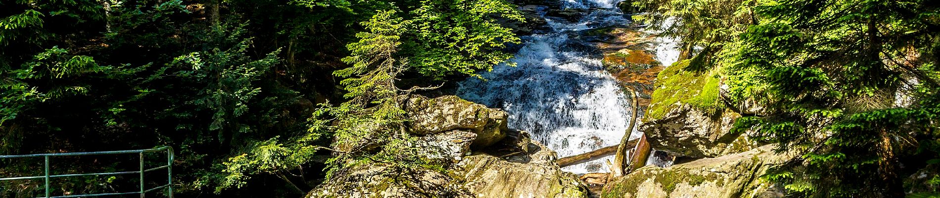 Excursión A pie Bodenmais - Wanderweg 11 - Photo