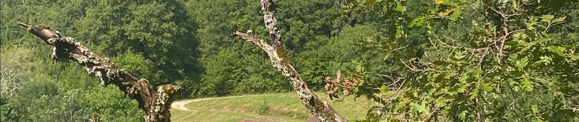 Randonnée Marche Sauveterre-la-Lémance - Autour de Sauveterre la lemance  - Photo