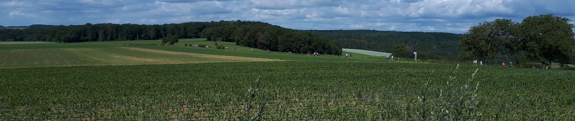 Tocht Stappen Diekirch - DIEKIRCH  _ Marche Militaire Luxembourgeoise _ Jour 2 - Photo