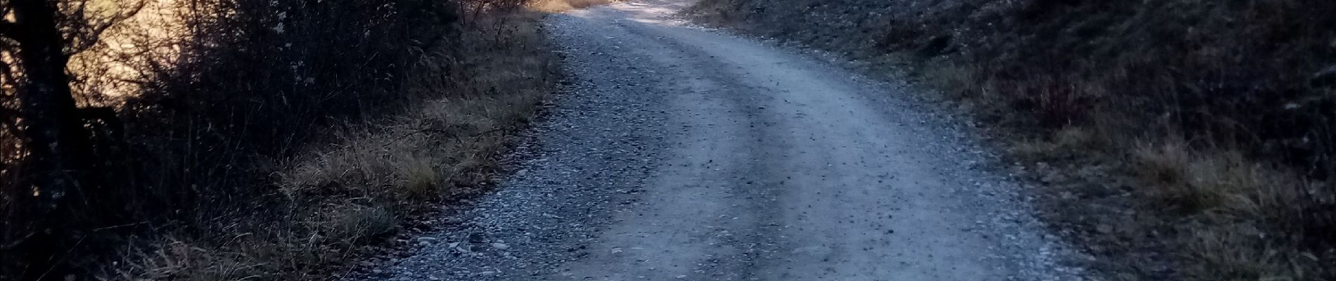 Randonnée Marche Saillans - Le Serre des 3 Bornes - Photo