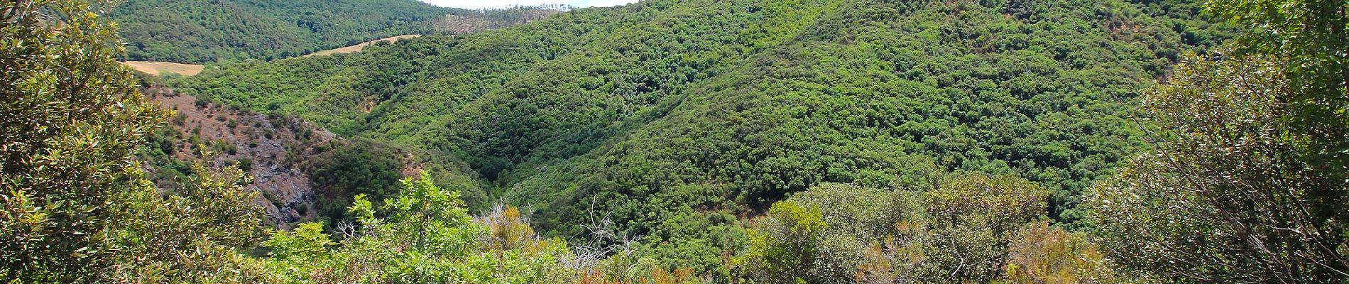 Randonnée A pied Volterra - Monte Nero e la gola del torrente Strolla - Photo