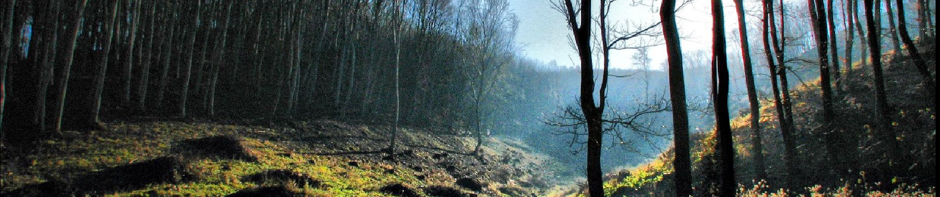 Tour Zu Fuß Totiserkolonie - K■ (Tatabánya, Felsőgalla - Csákányospuszta, kulcsosház) - Photo