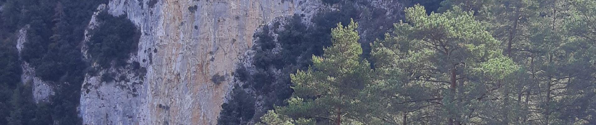 Tocht Stappen Axat - Sénayeurs à Axat et bois de la fage - Photo