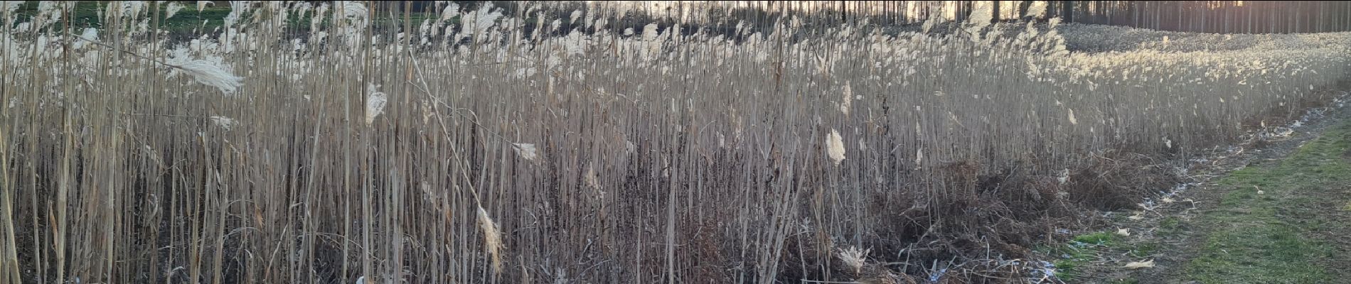 Tocht Stappen Villequier-Aumont - villequier aumont - Photo