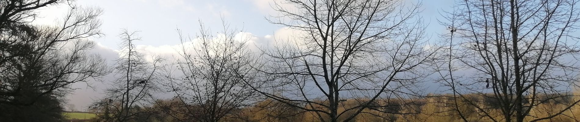 Tocht Stappen Boivre-la-Vallée - Montreuil-Bonnin  - Photo