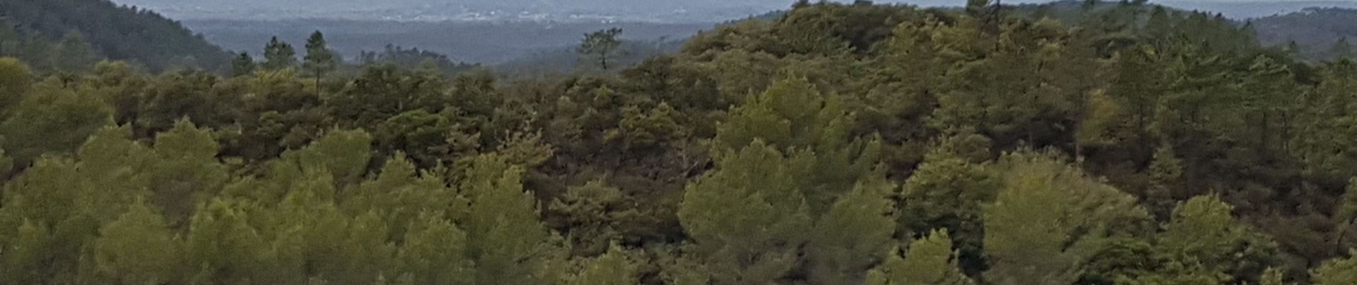 Tour Wandern Bagnols-en-Forêt - FREJUS - BARRAGE DE MALPASSET DEPUIS COL DE LA GARDIETTE - Photo