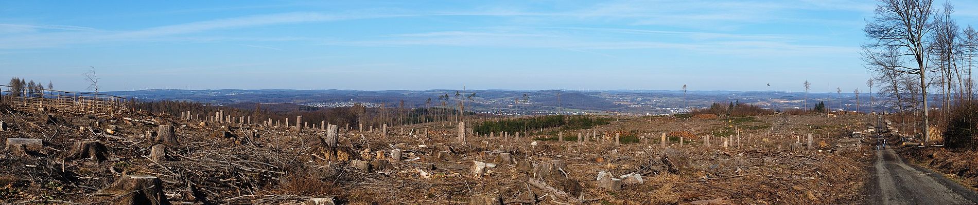 Randonnée A pied Montabaur - Köppelweg 3 - Photo