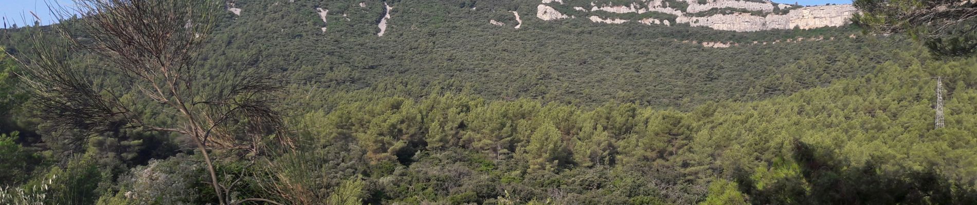 Excursión Senderismo La Valette-du-Var - LA CALABRO  Henri et Solange  - Photo