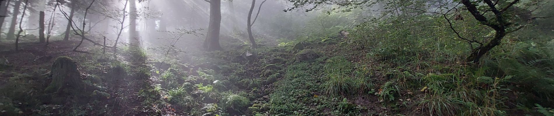 Randonnée Marche Soultz-Haut-Rhin - Grand ballon  - Photo