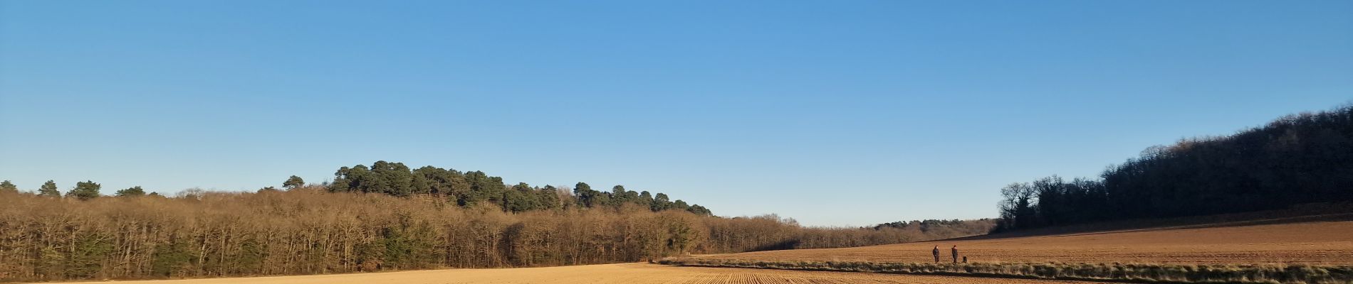 Tocht Stappen Milly-la-Forêt - Boucle Milly - Noisy - Le Vaudoué - Photo