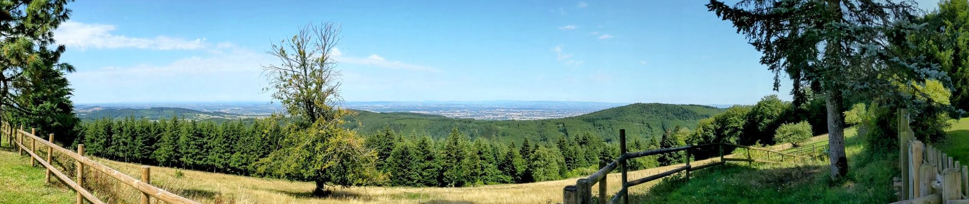 Tour Wandern Saint-Rirand - becajat depuis la croix du sud - Photo