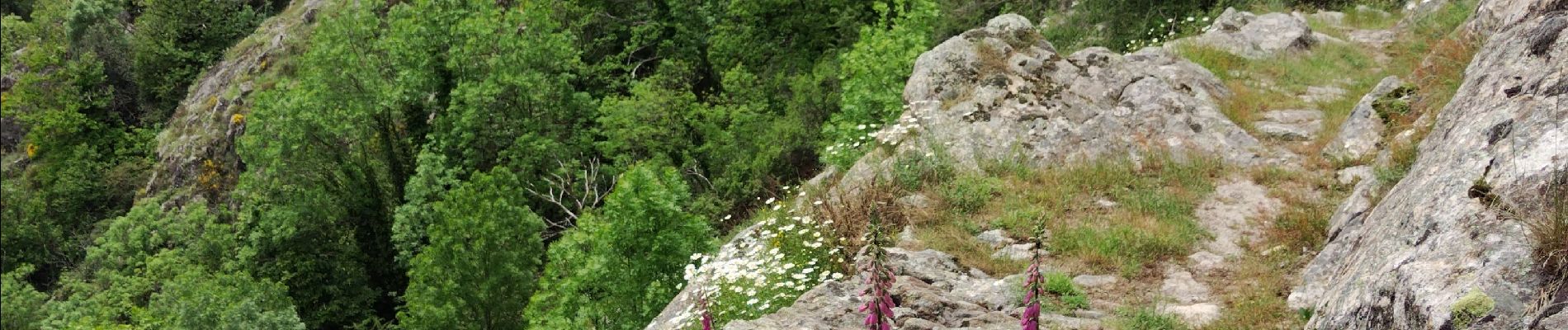 Trail Walking Vallées-d'Antraigues-Asperjoc - Entraigues  - Photo