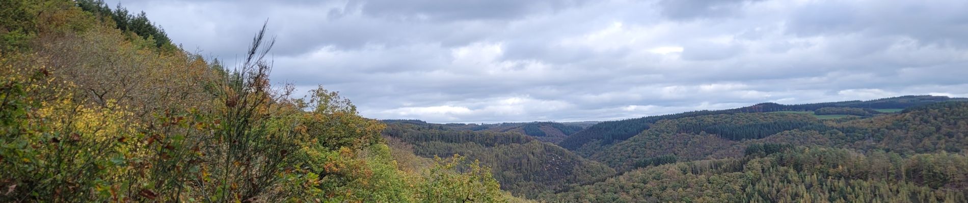 Excursión Senderismo Bouillon - rando rochehaut 25-10-2022 - Photo