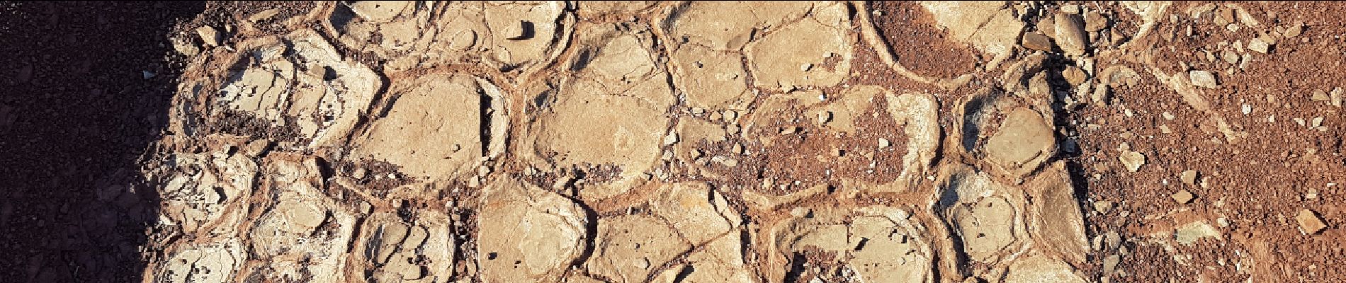 Excursión Marcha nórdica Celles - Salagou Les Vailhés L'Auverne Octobre 2021 - Photo