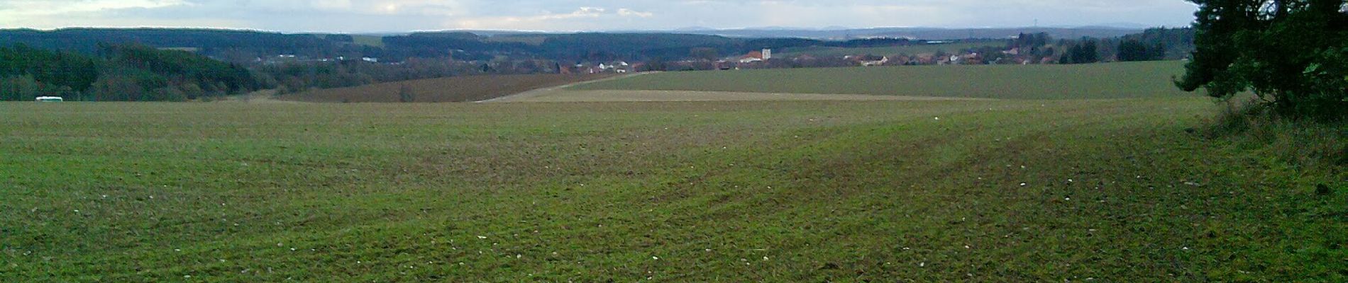 Excursión A pie Planá - NS Kosový potok - Photo