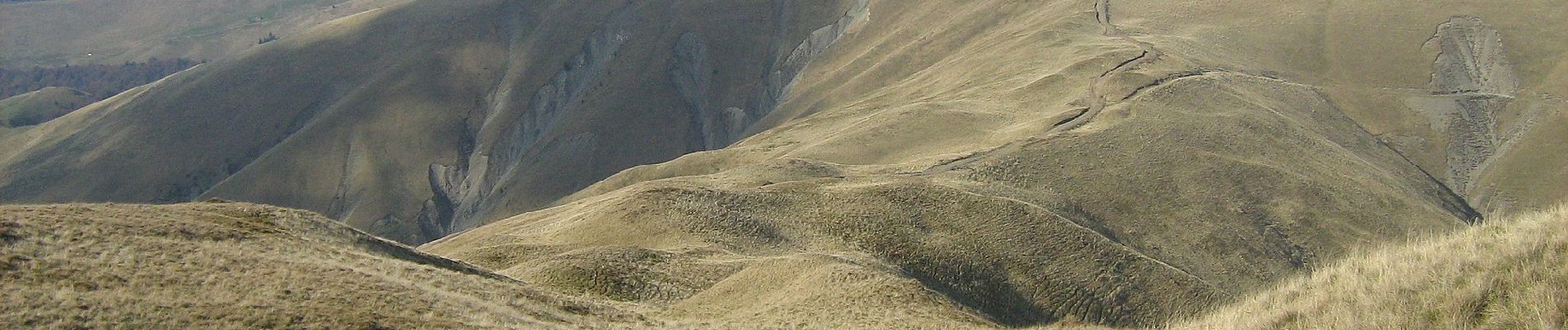 Percorso A piedi Comarnic - Posada - Tituleni - Culmea Zamora - Photo