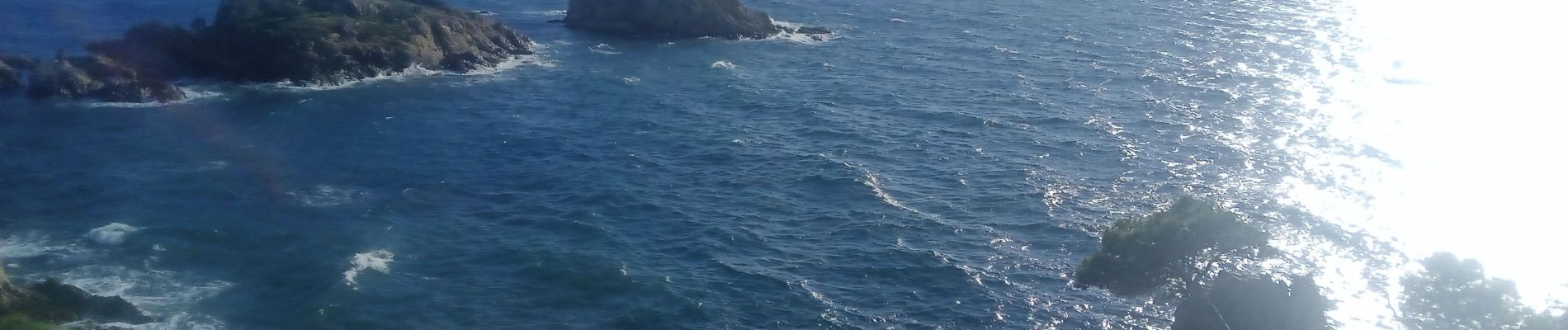 Excursión Ruta Bormes-les-Mimosas - Pointe du Diable et de Estagnol  - Photo