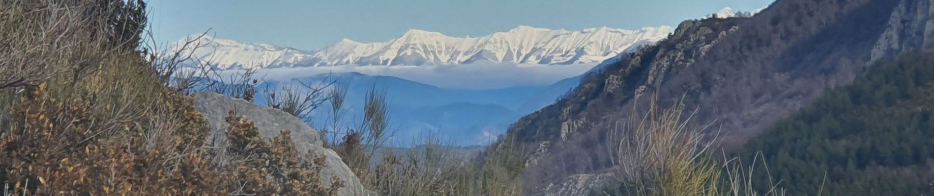 Trail Walking Beynes - 2024-01-19 Montagne de Beynes  - Photo