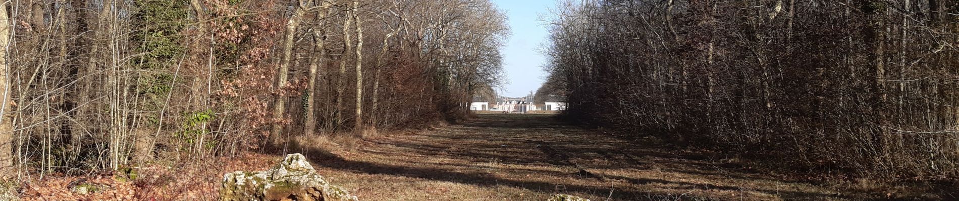 Tocht Stappen Yerres - yerres Villecresnes domaine du réveillon  - Photo