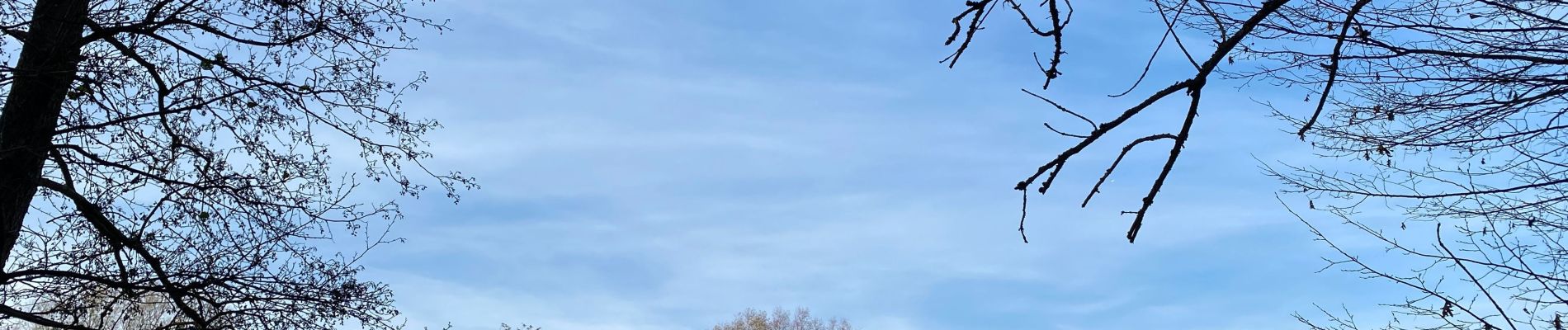 Randonnée Marche Genappe - Divers autour de Bousval - Photo