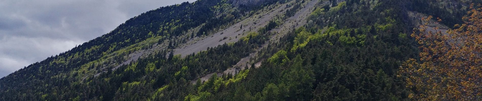 Trail Walking Le Glaizil - 20190528_Chapeau de l'évêque via Le Glaizil - Photo