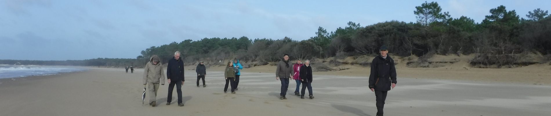 Tocht Stappen Saint-Palais-sur-Mer - 17  Le Flandre  7 km - Photo