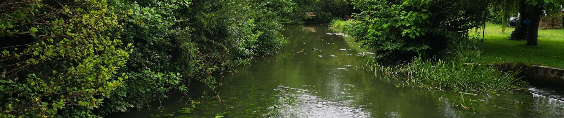 Tour Wandern Combiers - La randonnée de Marchapack - Photo