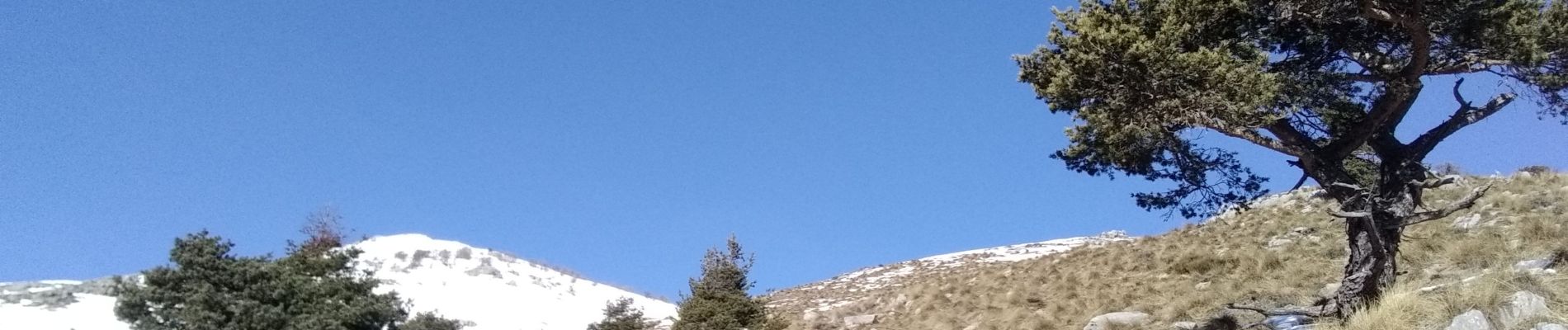 Excursión Esquí de fondo Valdeblore - Mont Petoumier. Mont Pépoiri - Photo