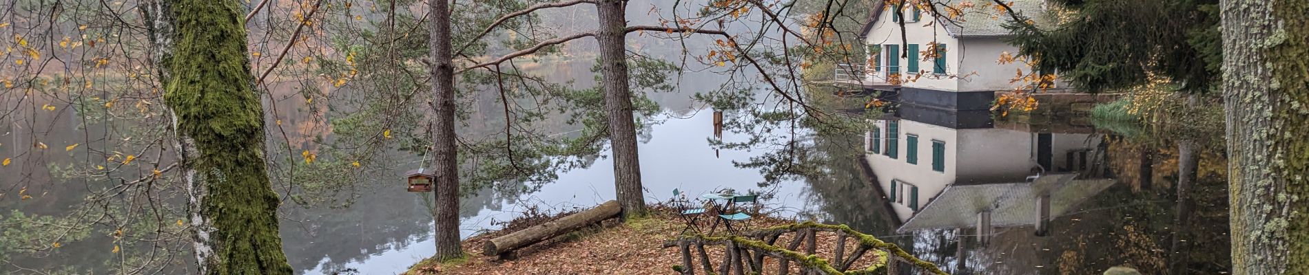 Tocht Paardrijden Lemberg - suuntoapp-HorsebackRiding-2024-11-11T08-51-25Z - Photo